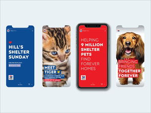 以愛為筆，以食為畫——專訪寵物食品包裝設計師